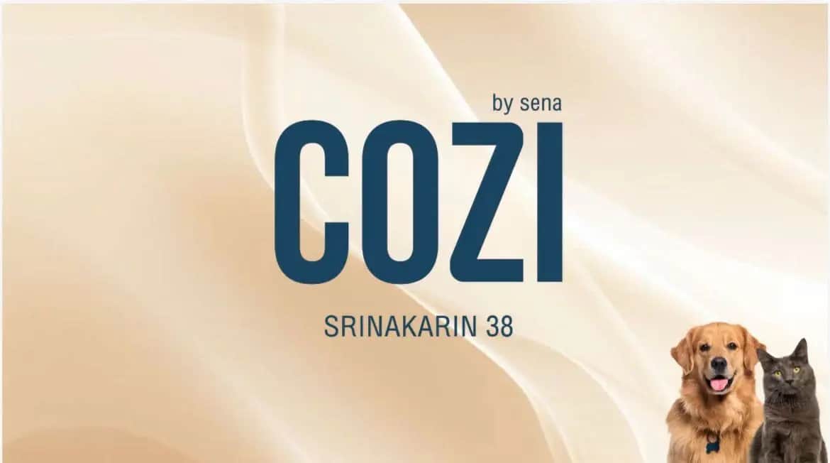 COZI Srinakarin 38 Condo Bangkok